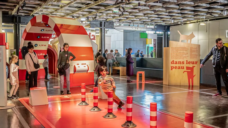 Le parcours de l’exposition Chiens et chats
