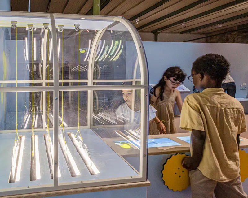 Des enfants manipulent les jeux de lumière de l’exposition Transparence