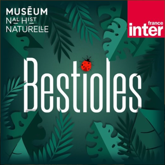 Logo du podcast Bestioles