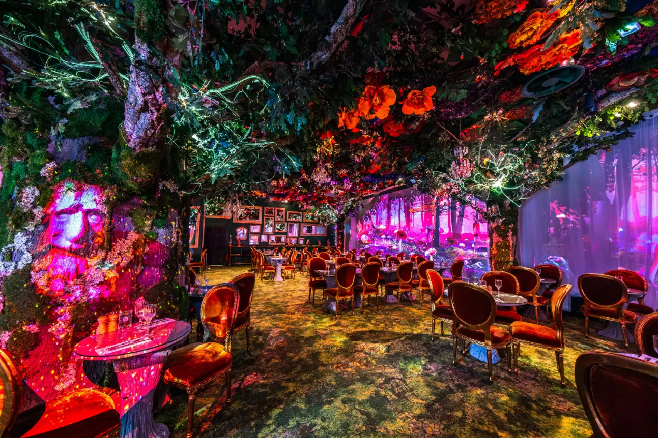 La forêt enchantée de Wonderwoods au Val d’Europe, ses arbres et ses tables immersives