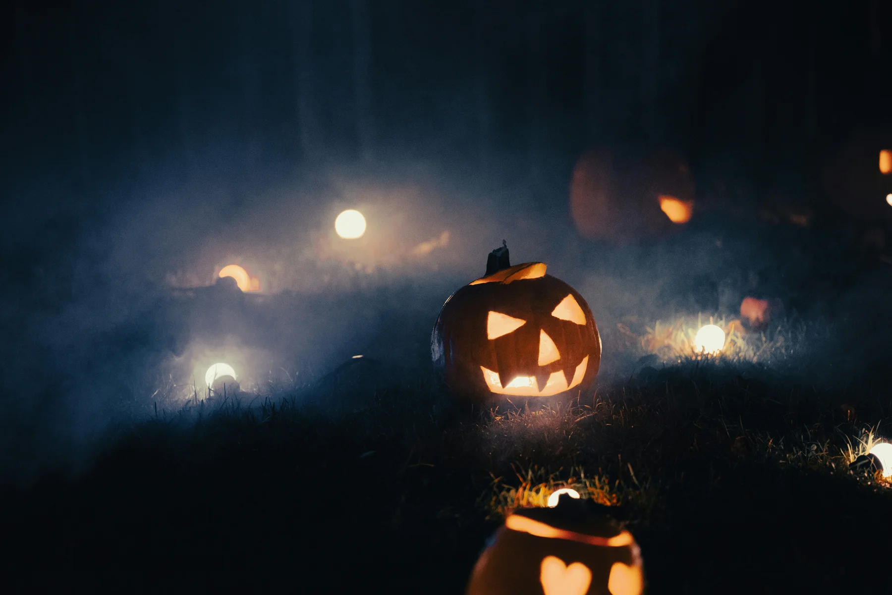 Citrouilles illuminées dans la brume pour Halloween