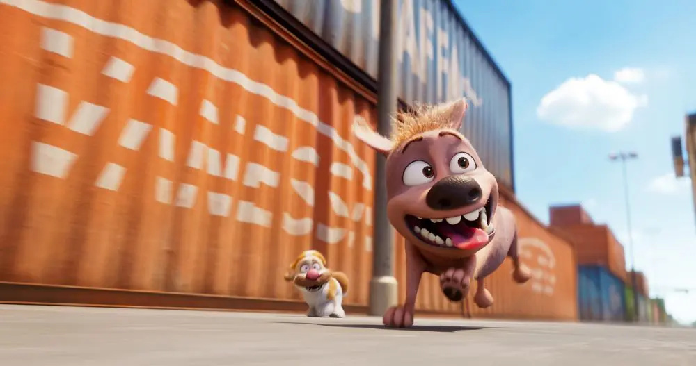 Mochy et un autre chien courent parmi des conteneurs